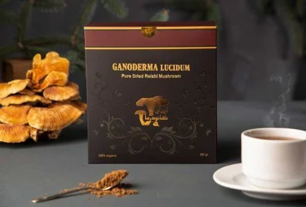 خرید قارچ گانودرما در اصفهان