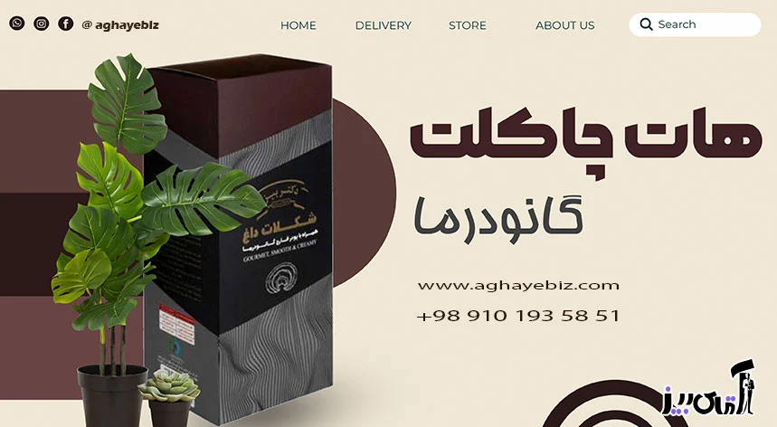گانودرما | چاقی قیمت هات چاکلت گانودرما بیز