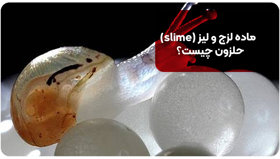 ماده لزج و لیز (slime) حلزون چیست؟