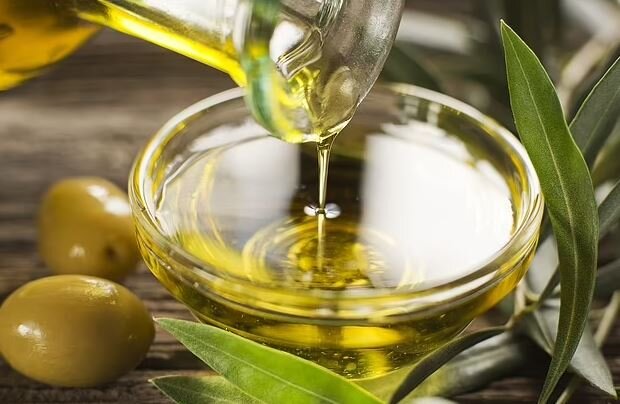 روغن | زیتون آیا روغن زیتون هم میتواند باعث چاقی شود؟