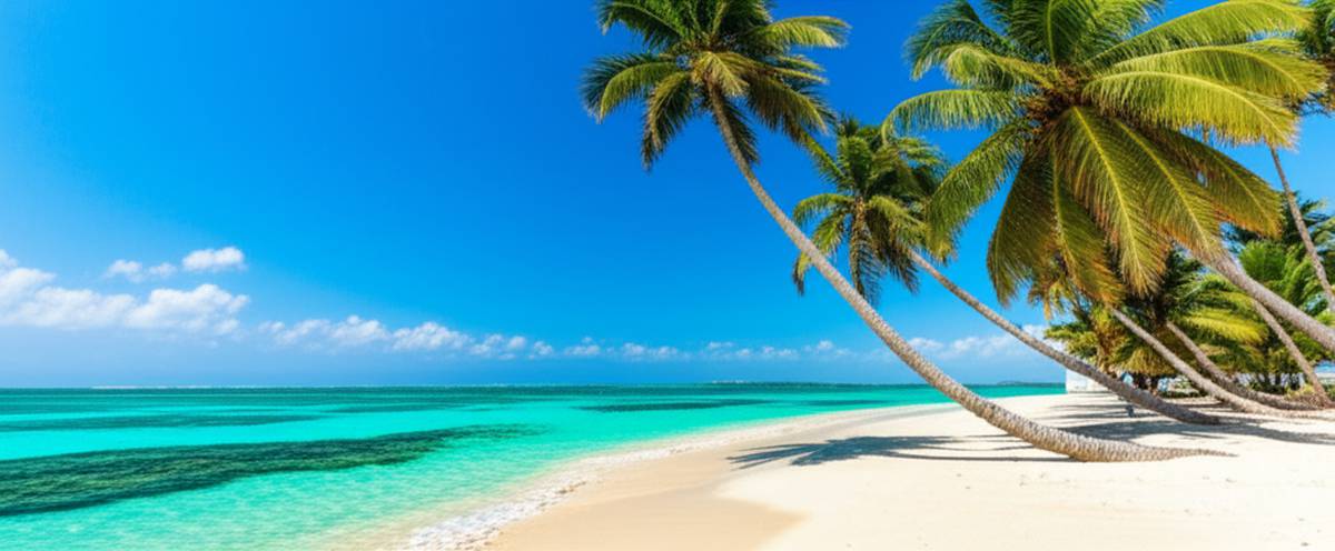 راهنمای مسافرتی به آروبا | صفر تا صد سفر به جزیره آفتاب