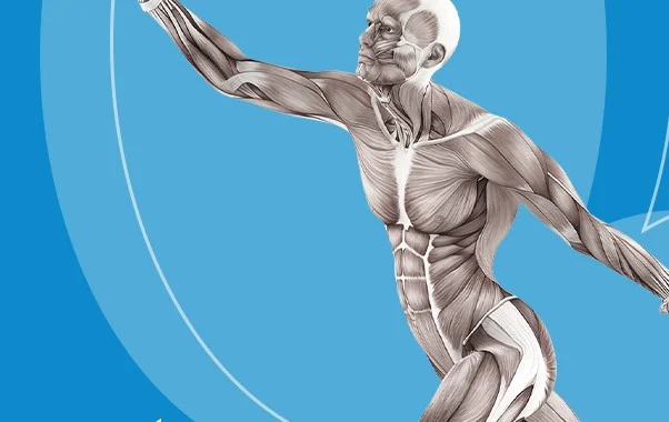 بررسی کتاب‌های مرجع حرکت‌شناسی (Kinesiology) و بیومکانیک